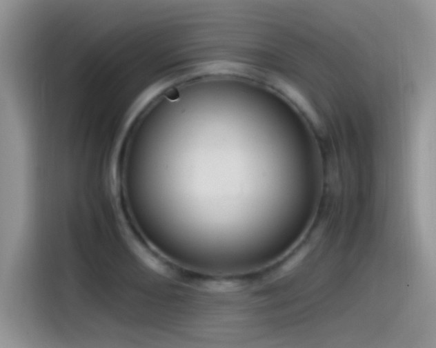 X0000115541082200911061455