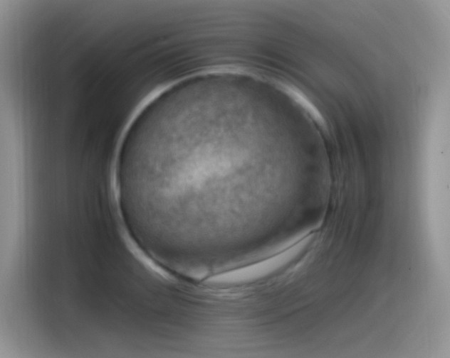 X0000115541084200911061455