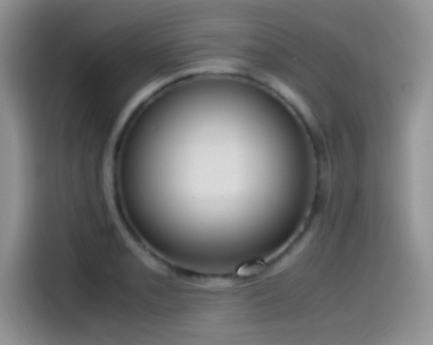 X0000115541085200911061455