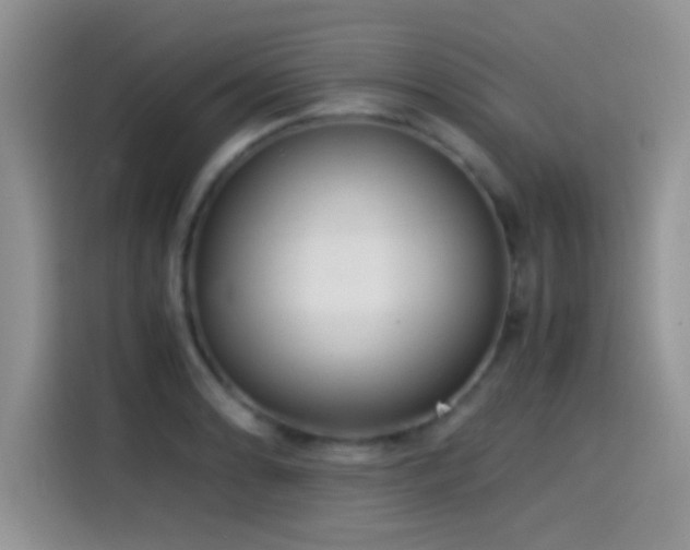 X0000115541086200911061455