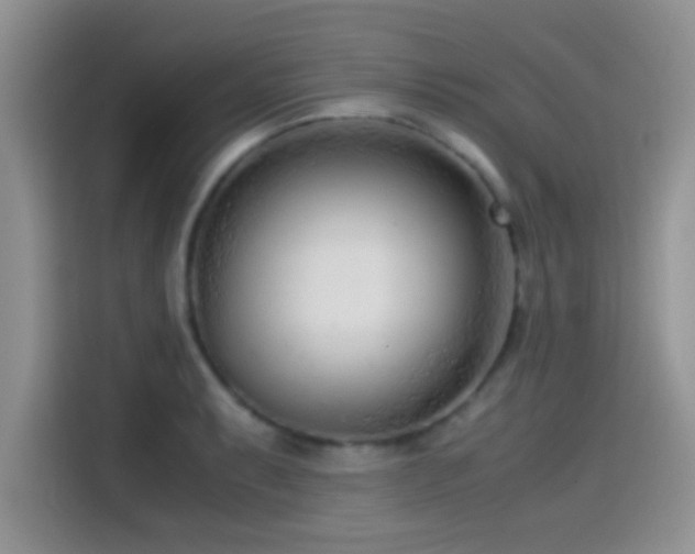 X0000115541087200911061455