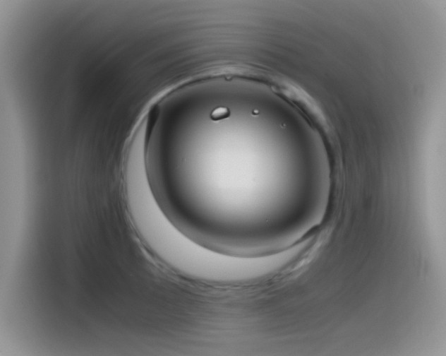 X0000115541089200911061455