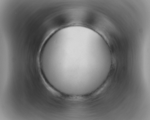 X0000115541090200911061455