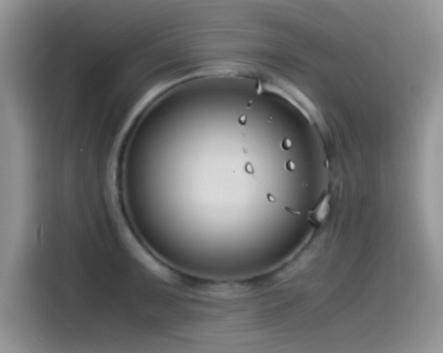 X0000115541091200911061455