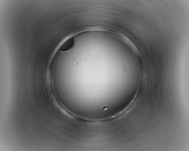 X0000115541092200911061455