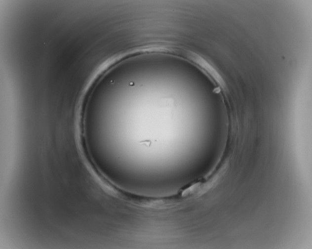 X0000115541093200911061455