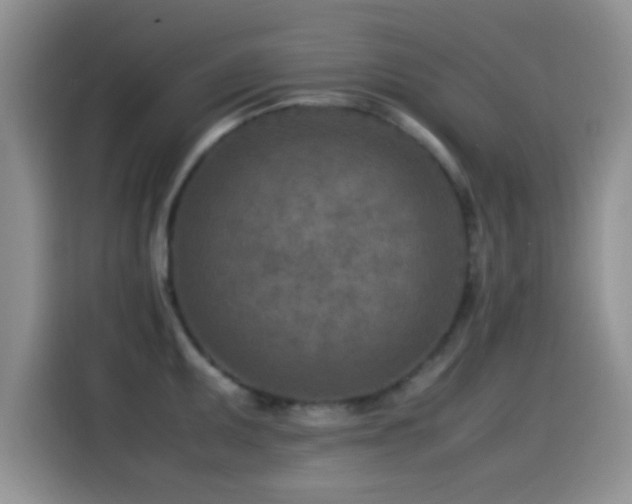 X0000115541095200911061455