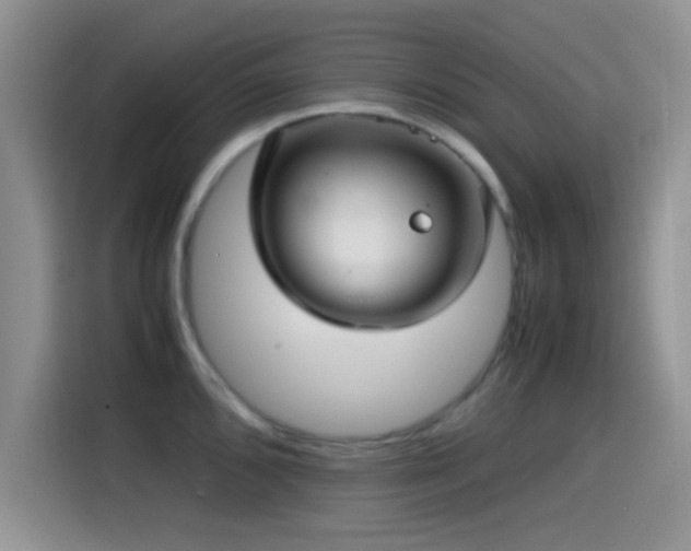 X0000115541096200911061455