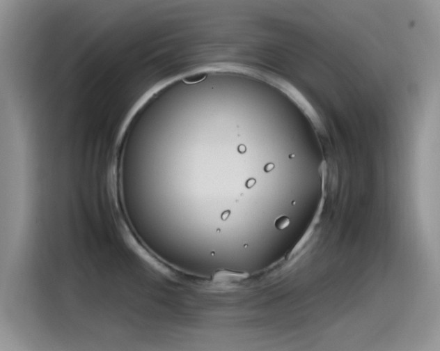 X0000115541100200911061455