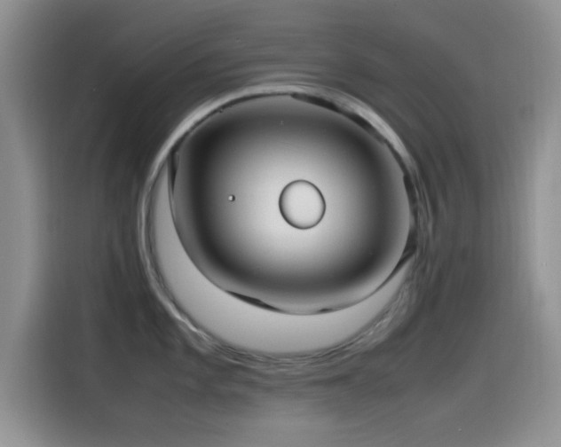 X0000115541101200911061455