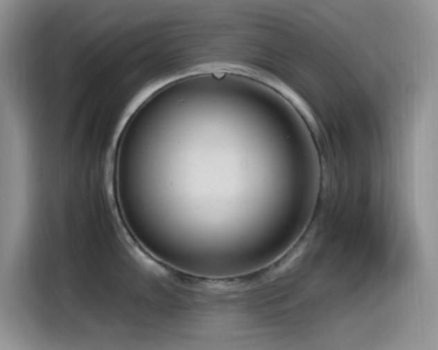 X0000115541102200911061455