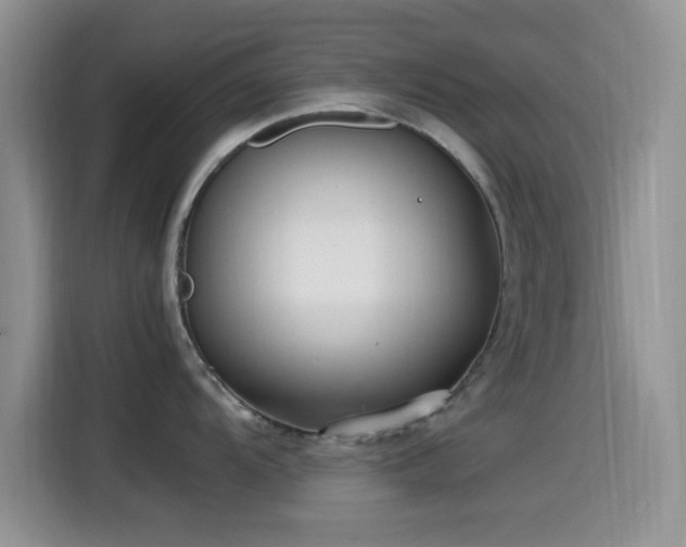 X0000115541104200911061455