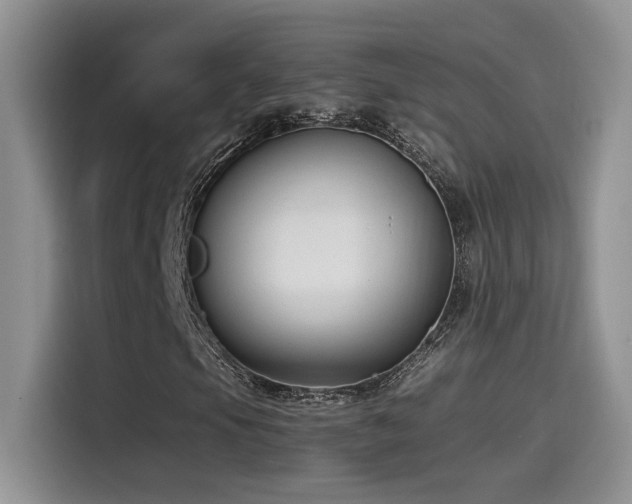 X0000115541105200911061454