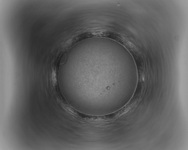 X0000115541106200911061454