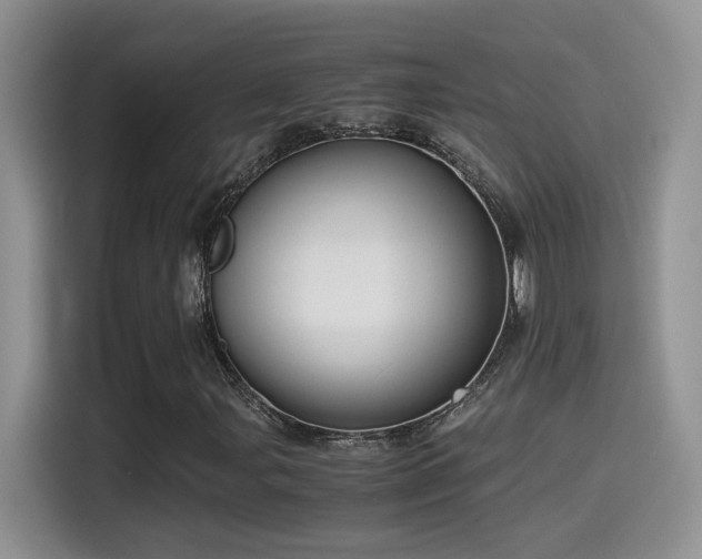 X0000115541107200911061454