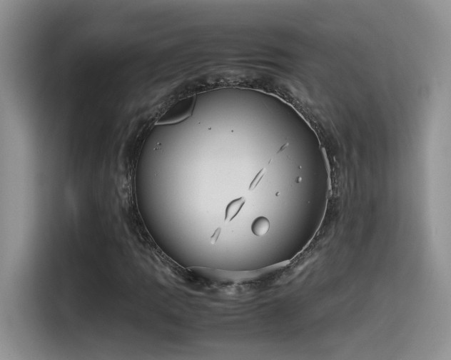 X0000115541109200911061454