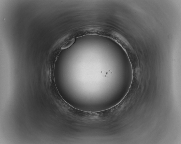 X0000115541111200911061454