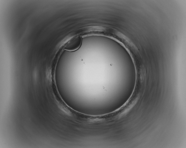 X0000115541113200911061454