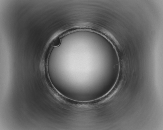 X0000115541114200911061454