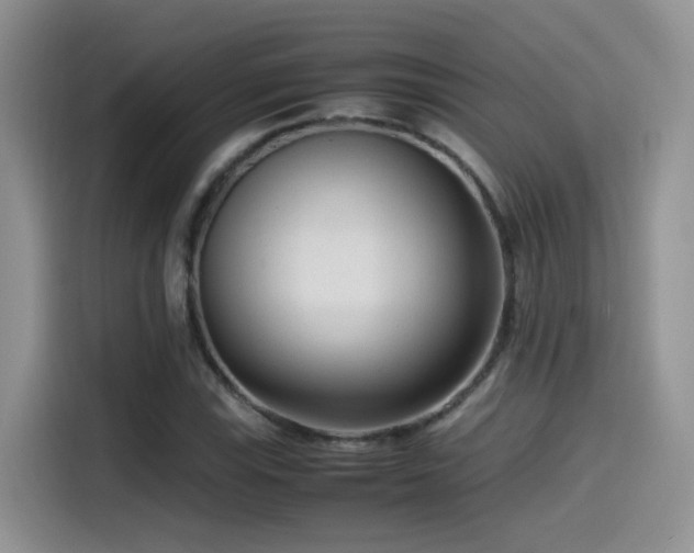 X0000115541115200911061454