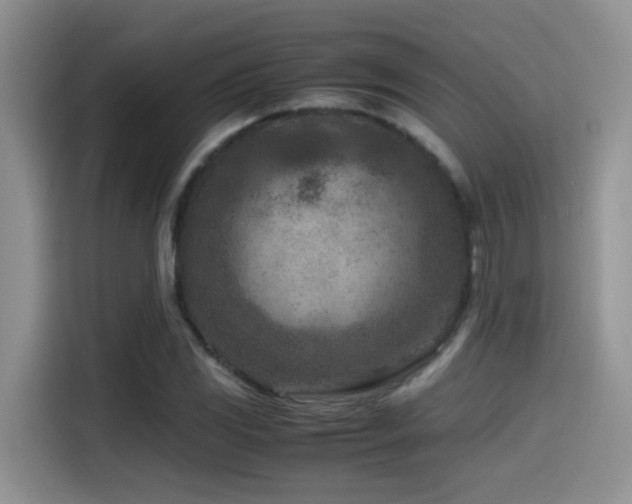 X0000115541117200911061455