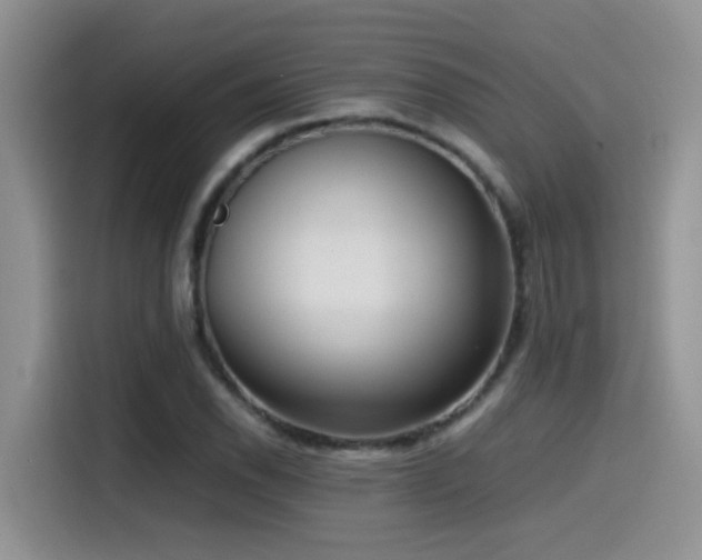 X0000115541118200911061455