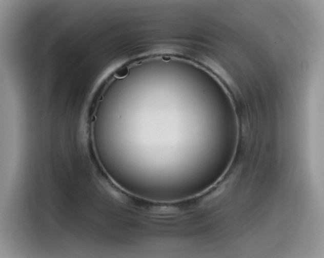 X0000115541119200911061455