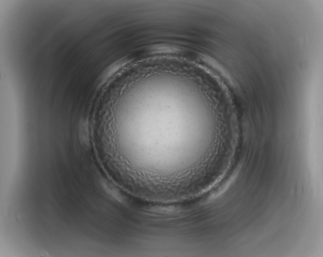 X0000115541121200911061455