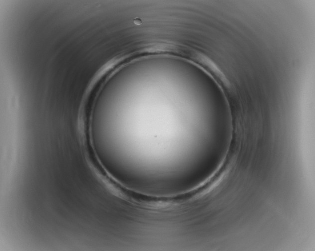 X0000115541122200911061455