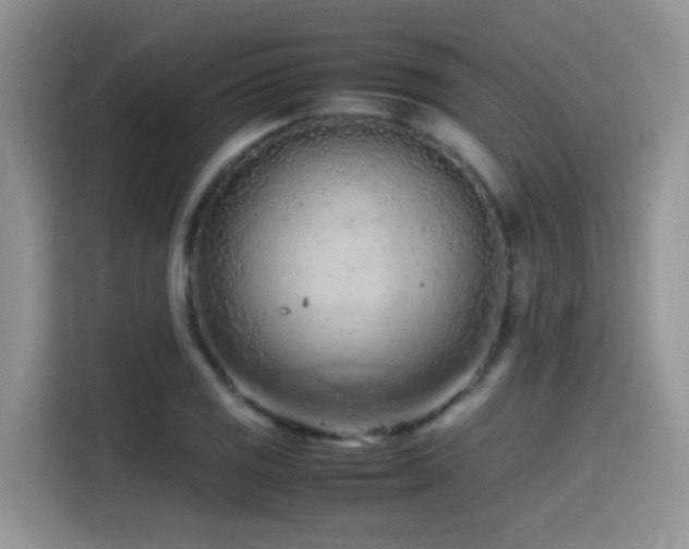 X0000115541125200911061455