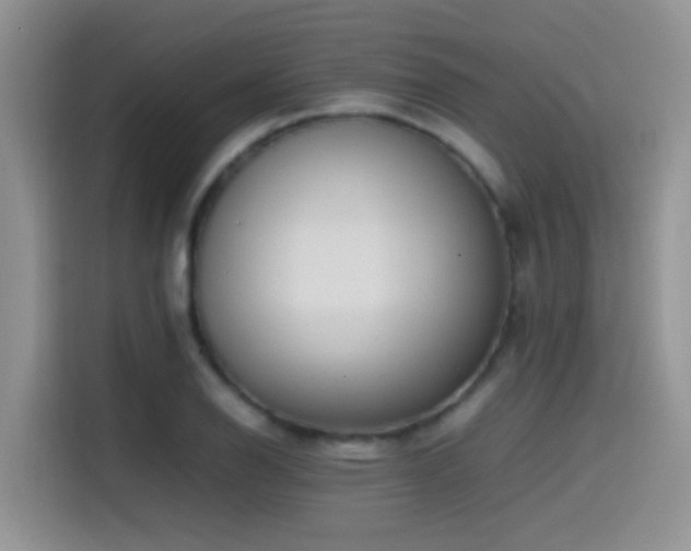 X0000115541126200911061455