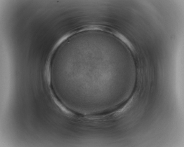 X0000115541127200911061455