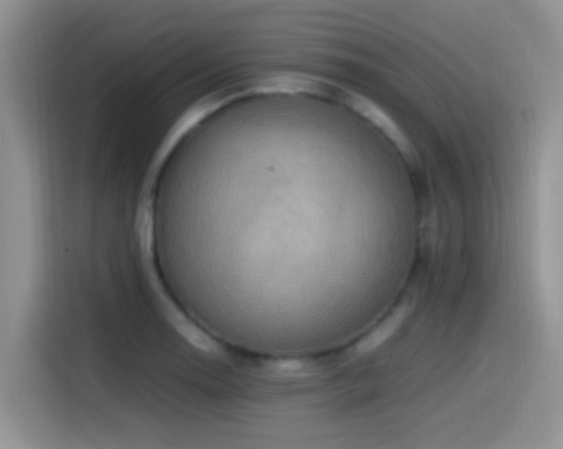 X0000115541130200911061455