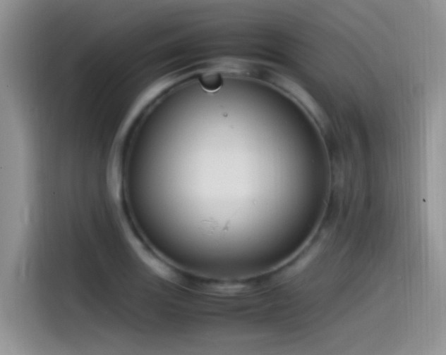 X0000115541131200911061455