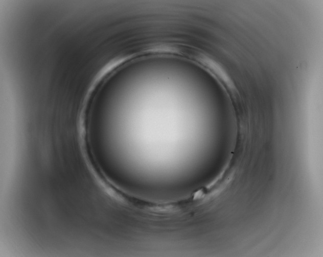 X0000115541133200911061455