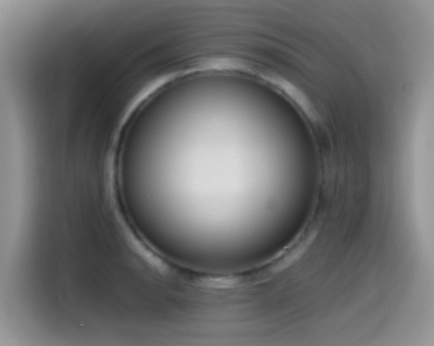 X0000115541134200911061455