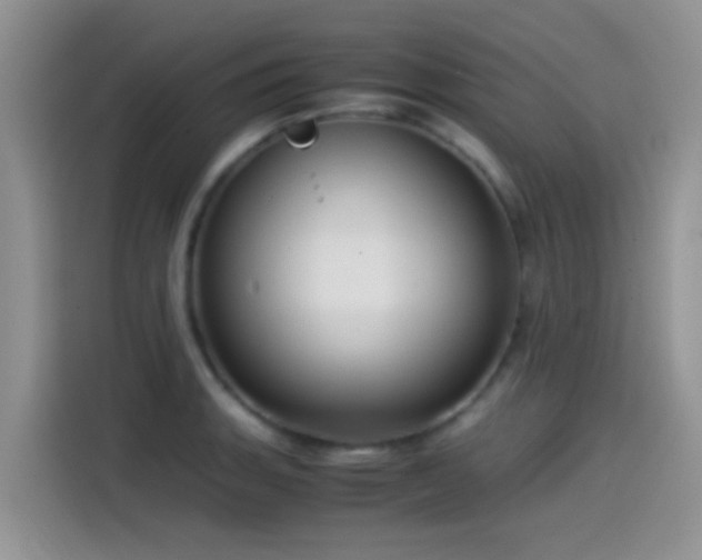 X0000115541135200911061455