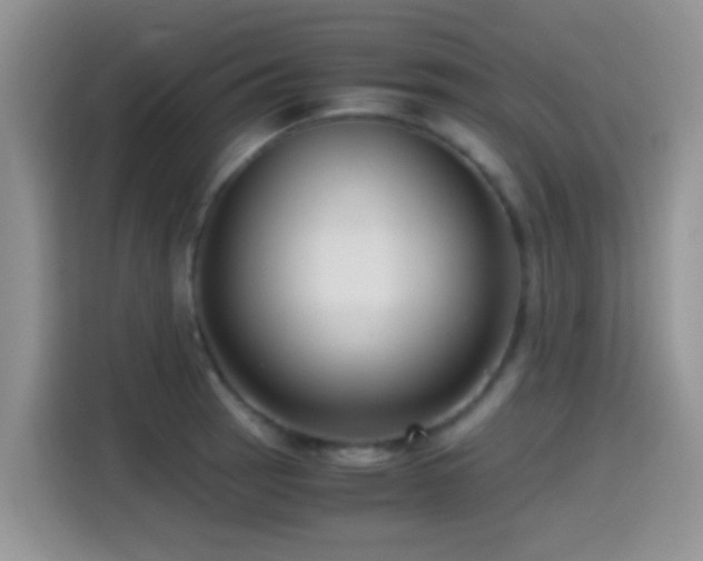 X0000115541137200911061455