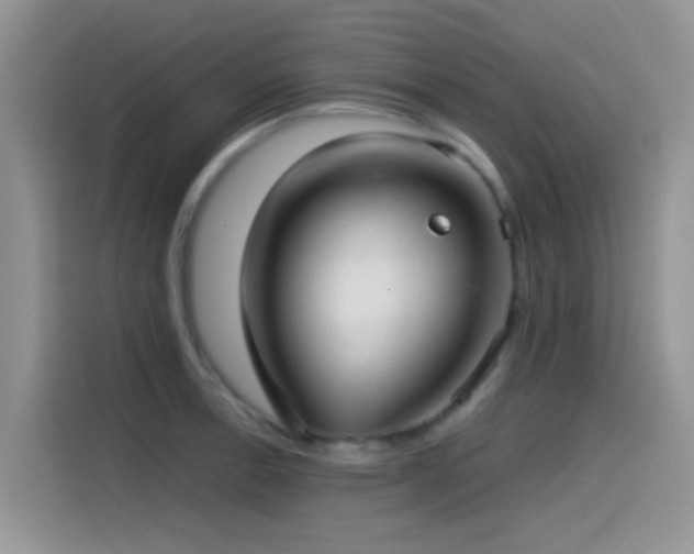 X0000115541138200911061455