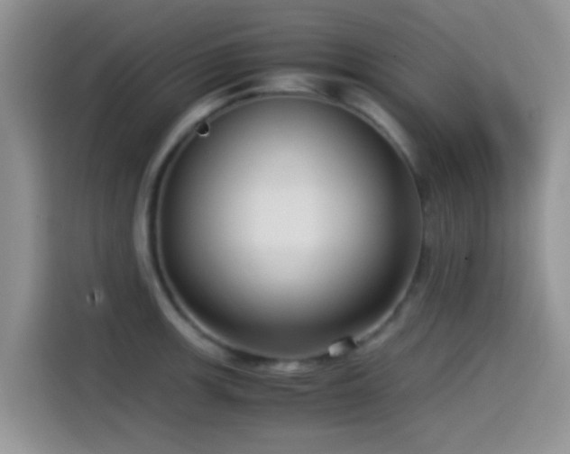 X0000115541139200911061455