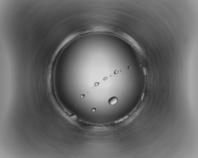 X0000115541142200911061455