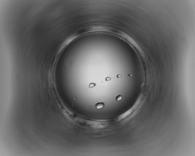 X0000115541145200911061455