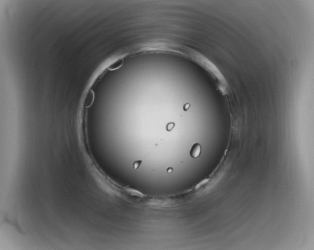 X0000115541146200911061455