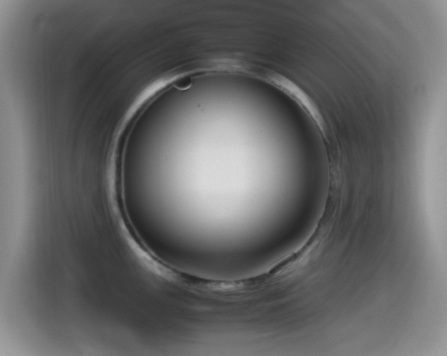 X0000115541147200911061455