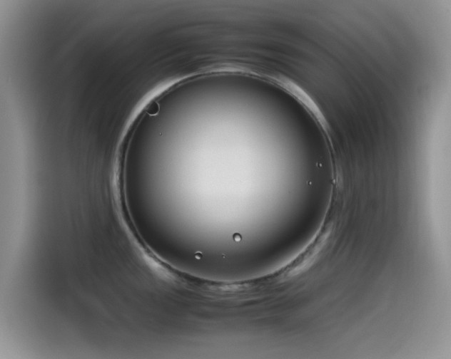 X0000115541149200911061455