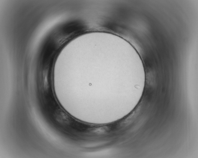 X0000115541150200911061455