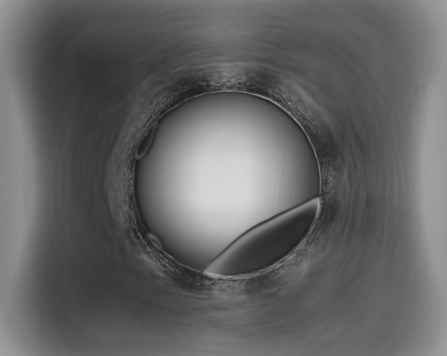 X0000115541153200911061454