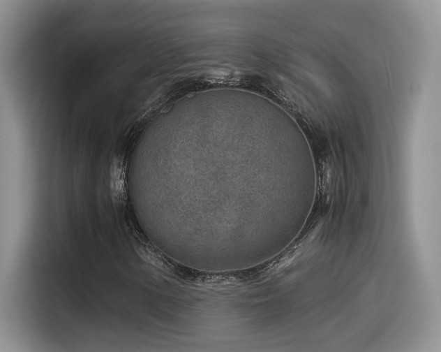 X0000115541154200911061454