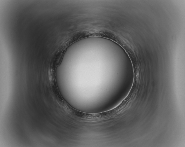 X0000115541156200911061454