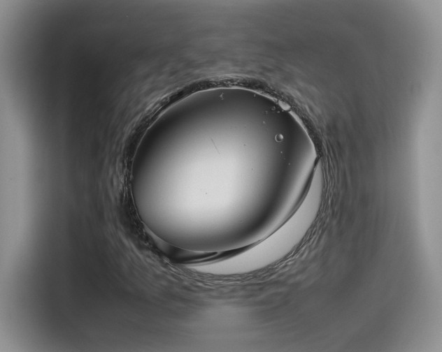 X0000115541157200911061454